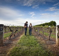 Coonawarra Wineries Walking Trail - Accommodation Mt Buller