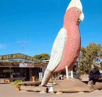 The Big Galah - Accommodation Mt Buller