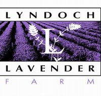 Lyndoch Lavender Farm and Cafe - Accommodation Mt Buller