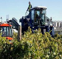 Ballast Stone Estate Wines Pty Ltd - Accommodation Mt Buller