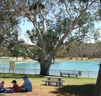 Naracoorte Nature Park and Swimming Lake - Accommodation Mt Buller
