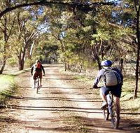 Bike About Mountain Bike Tours And Hire - Accommodation Mt Buller