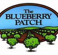 The Blueberry Patch - Accommodation Mt Buller