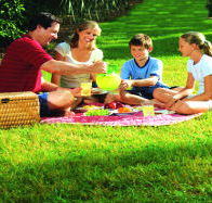 Bruny Island Berry Farm - Accommodation Mt Buller