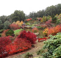 Emu Valley Rhododendron Garden - Accommodation Mt Buller
