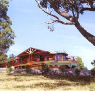 Barringwood Park Vineyard - Accommodation Mt Buller