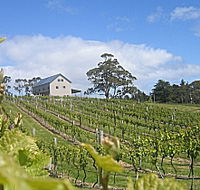 Bruny Island Premium Wines Bar and Grill - Accommodation Mt Buller