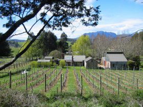 Wilmot TAS Accommodation Mt Buller