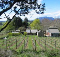 Wilmot Hills Vineyard - Accommodation Mt Buller