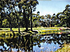 South Forest TAS Accommodation Mt Buller
