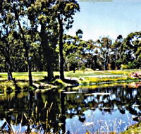 Smithton Country Club - Accommodation Mt Buller