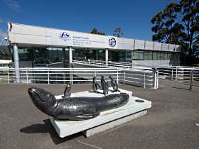 Australia's Antarctic Headquarters - Accommodation Mt Buller 0