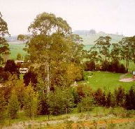 The Tasmanian Arboretum - Accommodation Mt Buller
