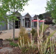 Tin Dragon Interpretation Centre and Cafe - Accommodation Mt Buller