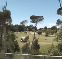 Greens Beach Golf Course - Accommodation Mt Buller
