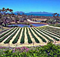 Kate's Berry Farm - Accommodation Mt Buller