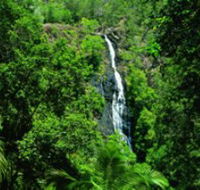 Kondalilla National Park - Accommodation Mt Buller