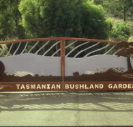 Tasmanian Bushland Garden - Accommodation Mt Buller