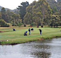 Penguin Golf Course - Accommodation Mt Buller