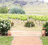 Brindabella Hills Winery - Accommodation Mt Buller