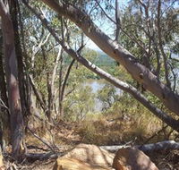 Black Mountain - Accommodation Mt Buller