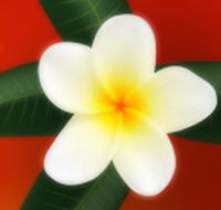 Well Retreat - Day Spa and Teahouse - Accommodation Mt Buller