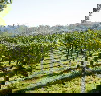 Surveyor's Hill Vineyards - Accommodation Mt Buller