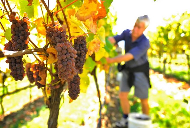 Lefroy TAS Accommodation Mt Buller