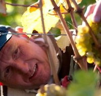 Puddleduck Vineyard - Accommodation Mt Buller