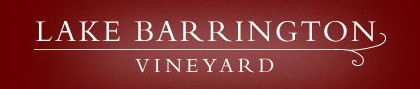 Lake Barrington Estate Vineyard - Accommodation Mt Buller 0