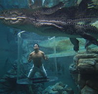 Crocosaurus Cove - Accommodation Mt Buller