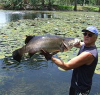 Barra Feeding - Accommodation Mt Buller