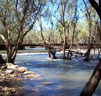 Low Level Nature Reserve - Accommodation Mt Buller