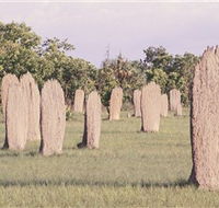 Magnetic Termite Mounds - Accommodation Mt Buller