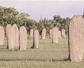 Magnetic Termite Mounds - Accommodation Mt Buller 0