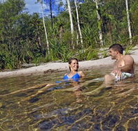 Tjaynera/Sandy Creek Falls - Accommodation Mt Buller