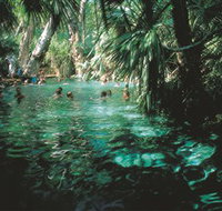 Mataranka Thermal Pool - Accommodation Mt Buller