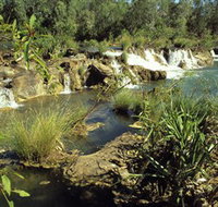 Flora River Nature Park - Accommodation Mt Buller