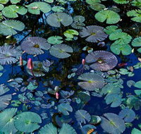 Pine Creek Water Gardens - Accommodation Mt Buller