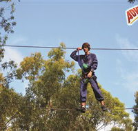 Adventure Parc at Currumbin Wildlife Sanctuary - Accommodation Mt Buller