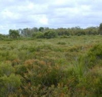Pine Ridge Conservation Park - Accommodation Mt Buller