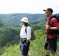 Sunshine Coast Hinterland Great Walk - Accommodation Mt Buller