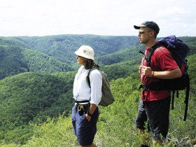 Sunshine Coast Hinterland Great! Walk - Accommodation Mt Buller 0