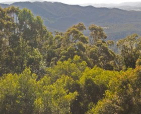 Wootha QLD Accommodation Mt Buller