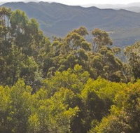 Conondale National Park - Accommodation Mt Buller