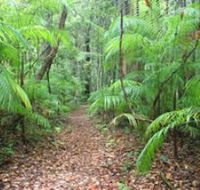 Delicia Road Conservation Park - Accommodation Mt Buller