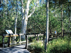 Noosa Heads QLD Accommodation Mt Buller