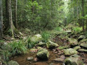 Amamoor State Forest - Accommodation Mt Buller 0