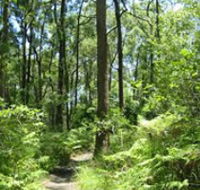 Mapleton Falls National Park - Accommodation Mt Buller