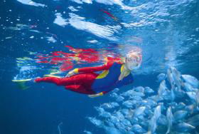 Pixie Pinnacle Dive Site - Accommodation Mt Buller 0